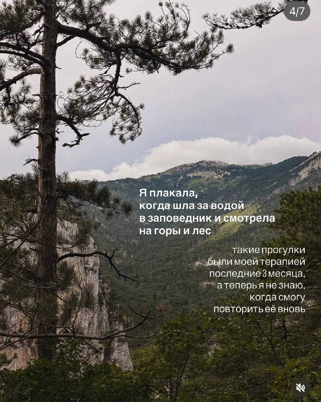 Уехать, нельзя остаться
Главное, что я сделала для своей школы за минувшие 3 дня - это проехала 1755 км к стабильному свету и интернету | Сетка — социальная сеть от hh.ru