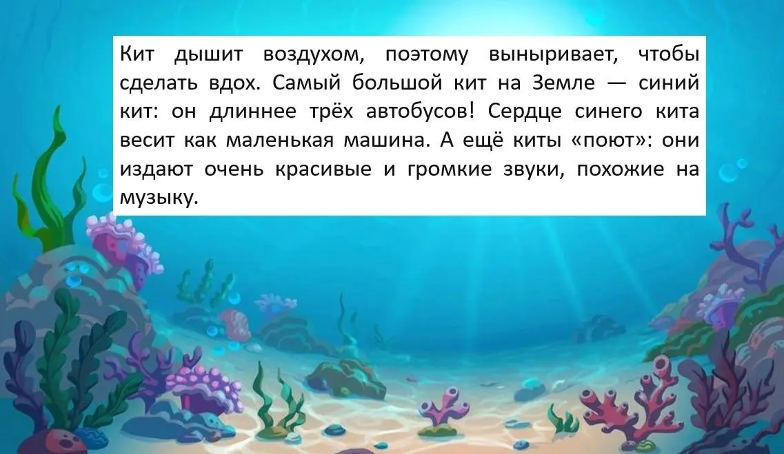 Сегодня делюсь с вами своей новой авторской презентацией «Морские обитатели» 🪼
Это готовый материал для сурдопедагога, логопеда, воспитателя или родителя, который подходит для работы с детьми самого р... | Сетка — социальная сеть от hh.ru