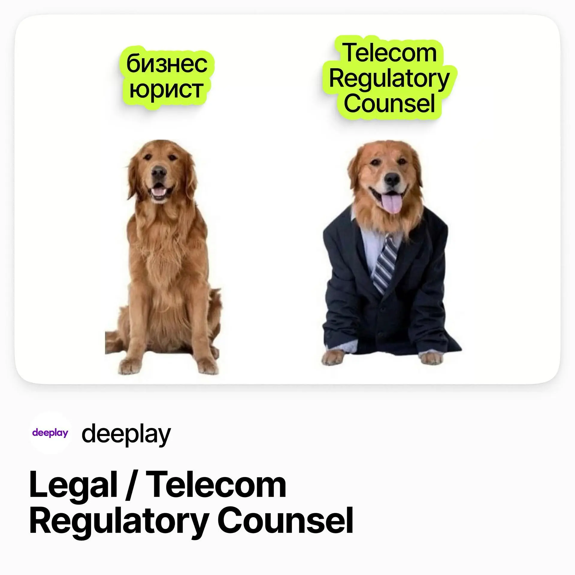 ⚖️ Legal Counsel / Telecom Regulatory Counsel [Senior] / deeplay
deeplay — продуктовая IT-компания в сфере интеллектуальных игр | Сетка — социальная сеть от hh.ru