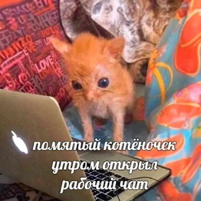 И не говори, что не ты
#IT
😂 ПМ 💬 MAX 🛍 Другие каналы
В этом посте были ссылки, но мы их удалили по правилам Сетки | Сетка — социальная сеть от hh.ru