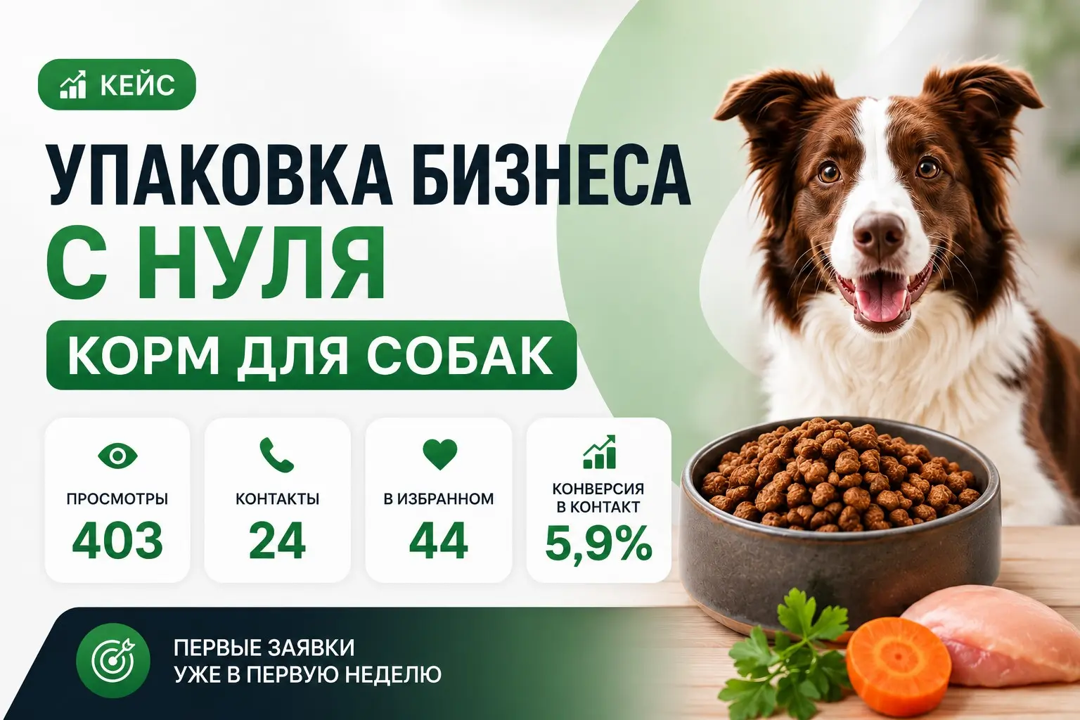 запуск продаж натурального корма для собак с нуля | Сетка — социальная сеть от hh.ru