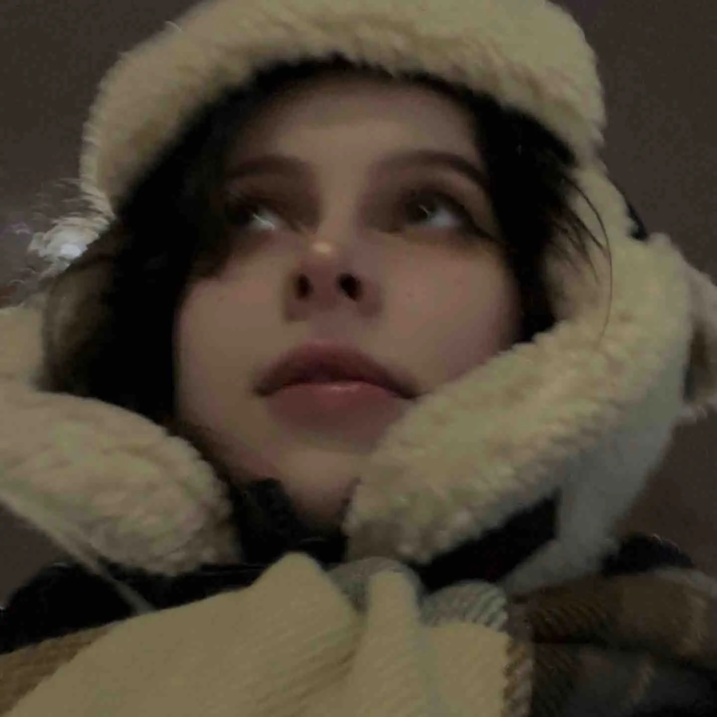 Елена Дудина