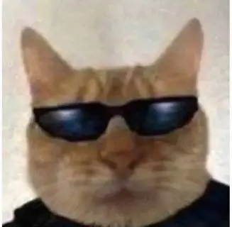 Дмитрий Жестков