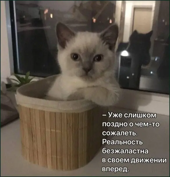 Думайте | Сетка — социальная сеть от hh.ru
