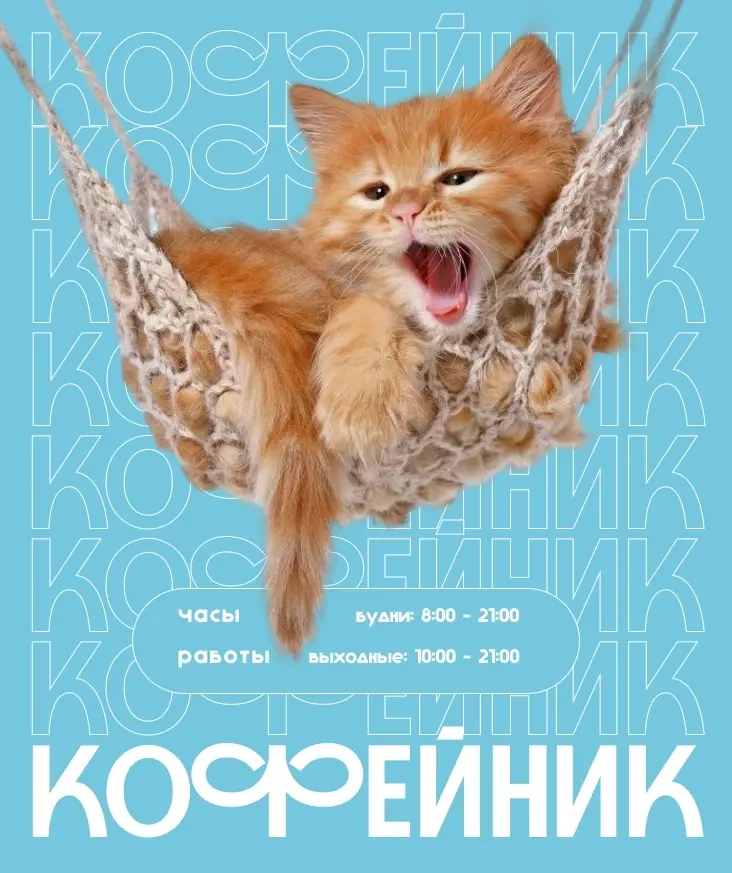 Что то новенькое | Сетка — социальная сеть от hh.ru