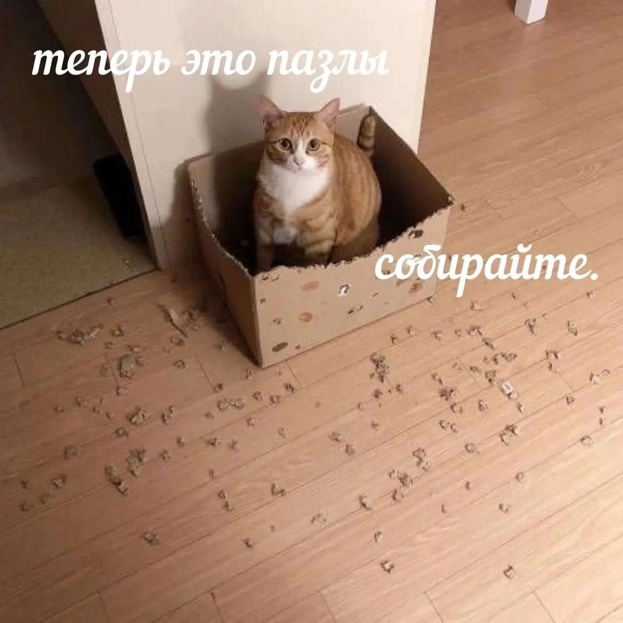 Есть здесь любители собирать пазлы? 😂
БЛОГ В ТГ / БЛОГ В MAX
#Юмор #Коты
В этом посте были ссылки, но мы их удалили по правилам Сетки | Сетка — социальная сеть от hh.ru