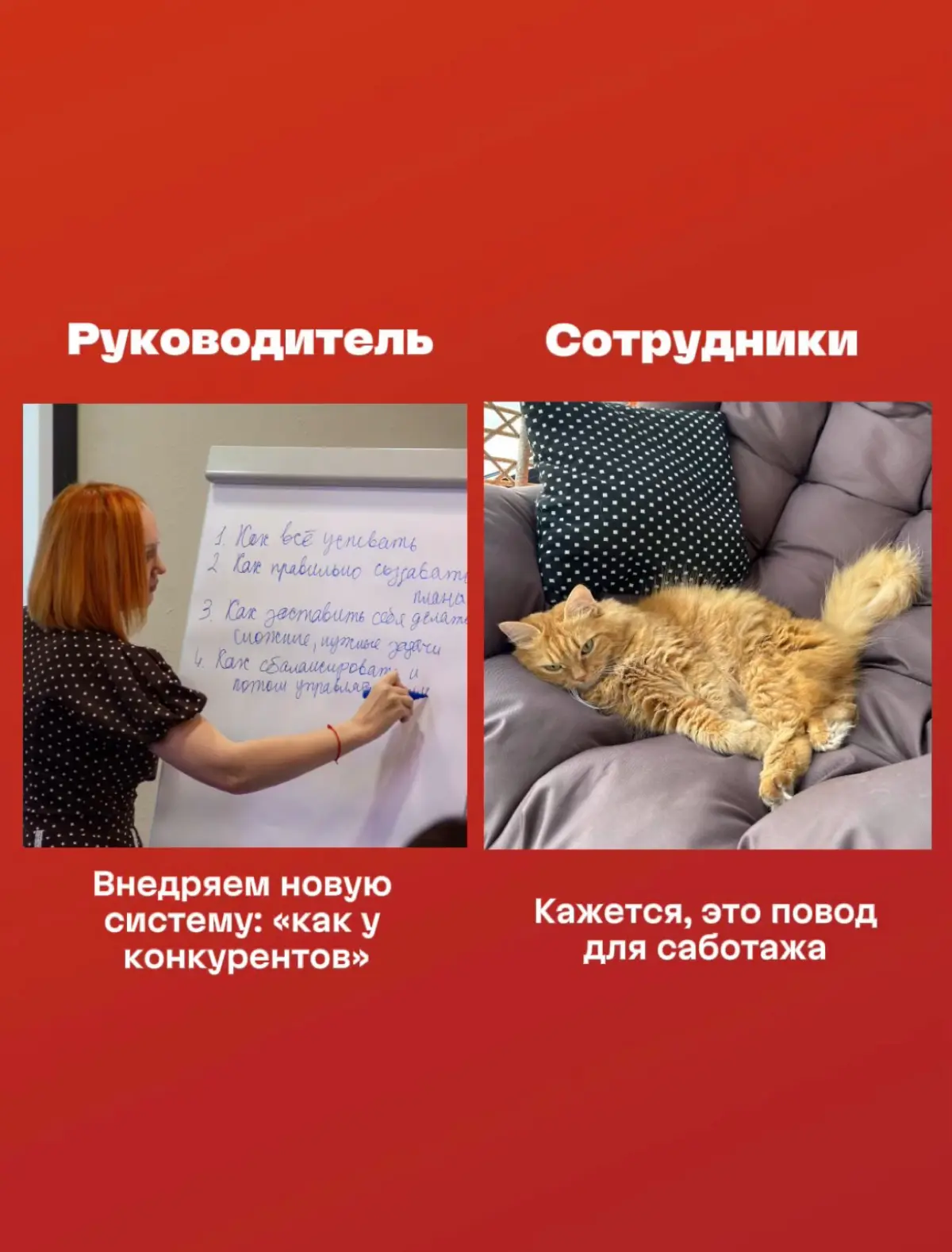 Я сделала ошибку, от которой обычно отговариваю клиентов | Сетка — социальная сеть от hh.ru