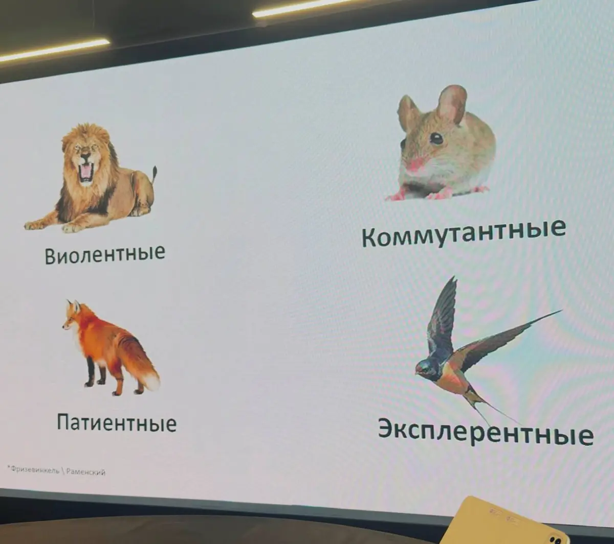 4 стратегии бизнеса: как понять свою роль и начать расти | Сетка — социальная сеть от hh.ru