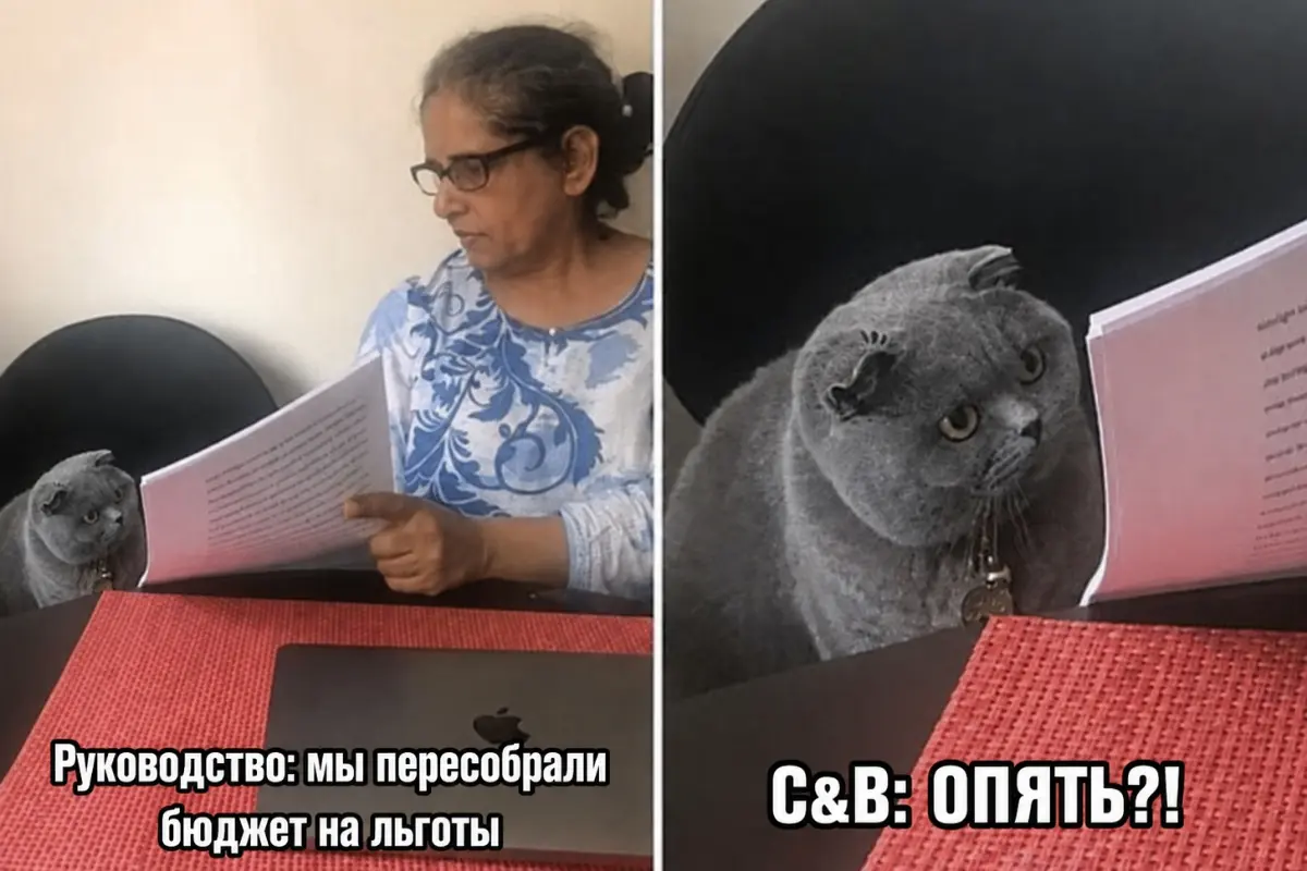 💥 Лимиты надо поменять срочно | Сетка — социальная сеть от hh.ru