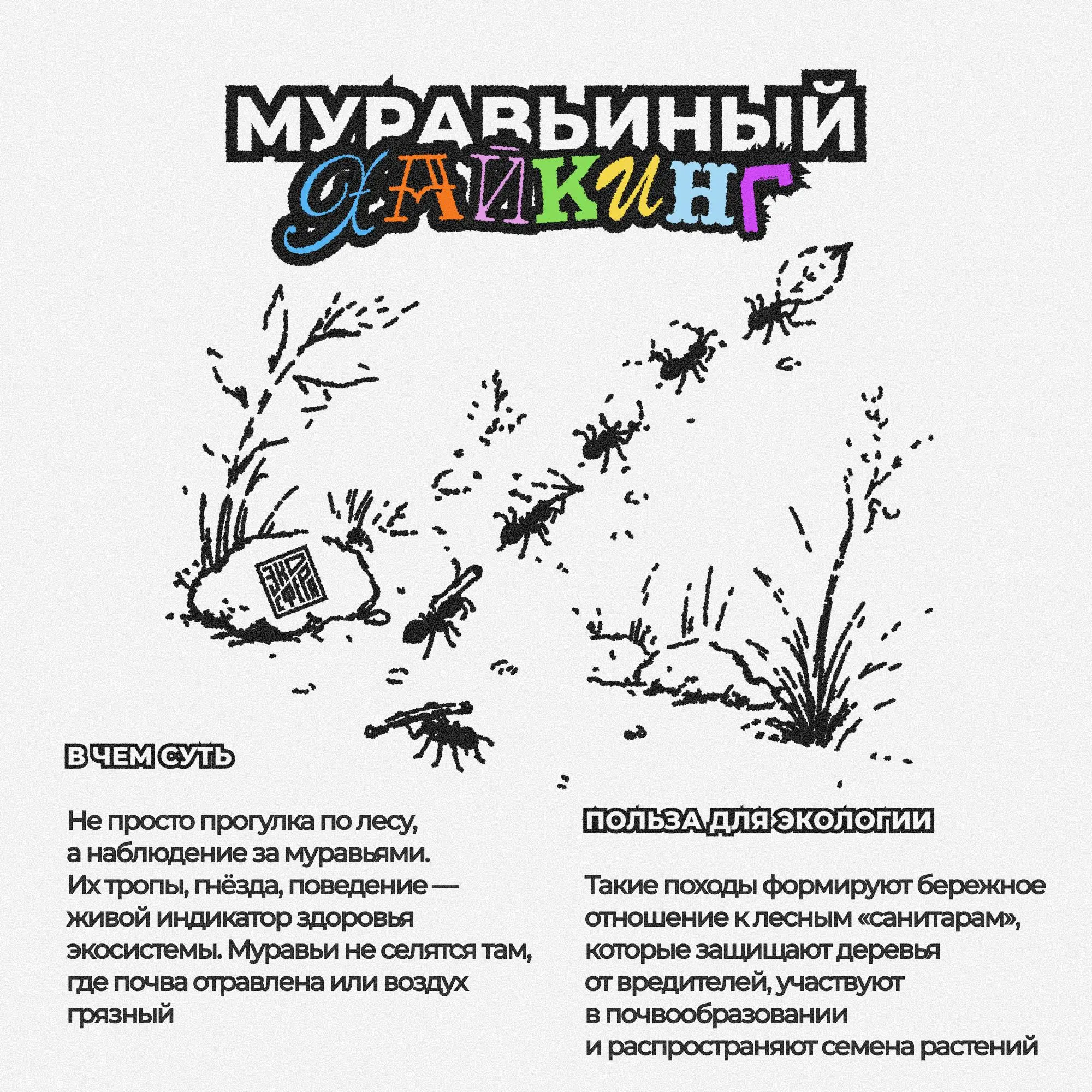 5 самых необычных и нишевых увлечений, которые выглядят слегка странно, но делают одну очень хорошую вещь — помогают природе | Сетка — социальная сеть от hh.ru