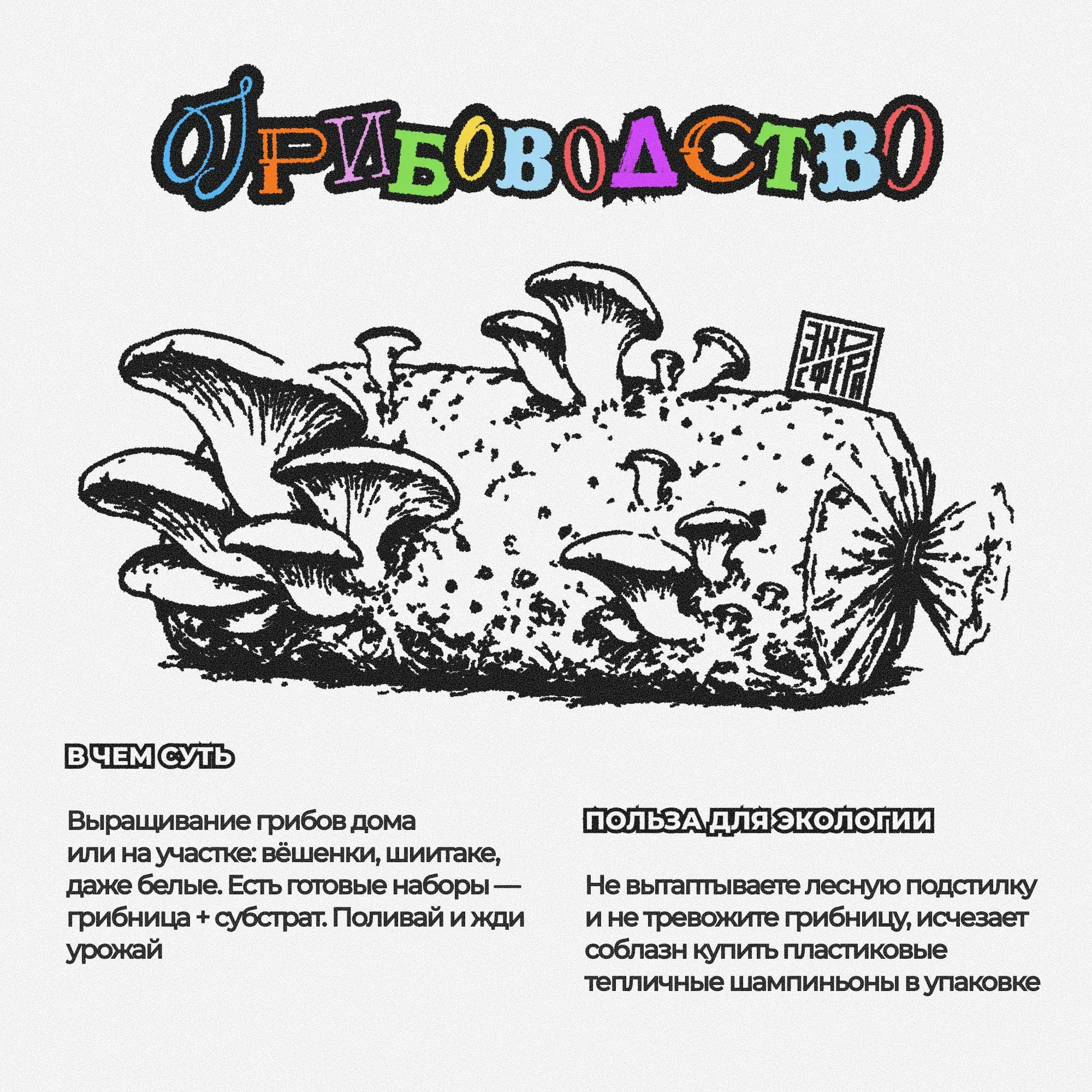 5 самых необычных и нишевых увлечений, которые выглядят слегка странно, но делают одну очень хорошую вещь — помогают природе | Сетка — социальная сеть от hh.ru