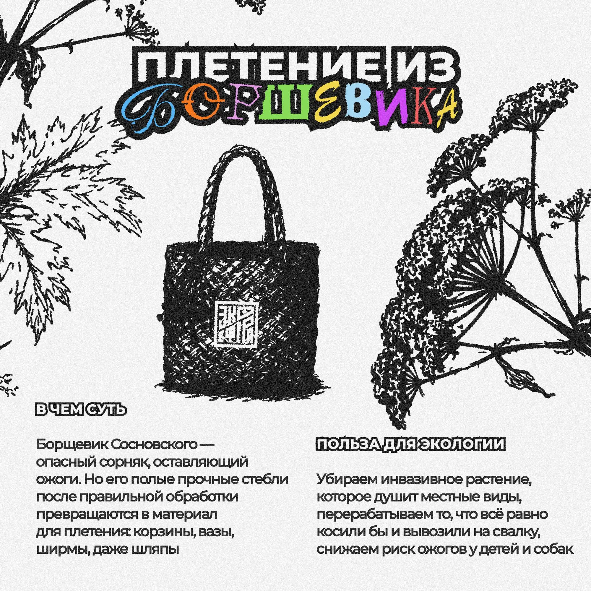 5 самых необычных и нишевых увлечений, которые выглядят слегка странно, но делают одну очень хорошую вещь — помогают природе | Сетка — социальная сеть от hh.ru