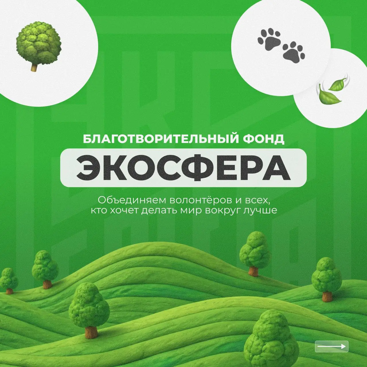 Кто мы? Кого приглашаем в команду? И чем занимаемся? Рассказываем в карточках 🌱
Чтобы присоединиться в нашу команду, заполняйте форму в нашей группе | Сетка — социальная сеть от hh.ru