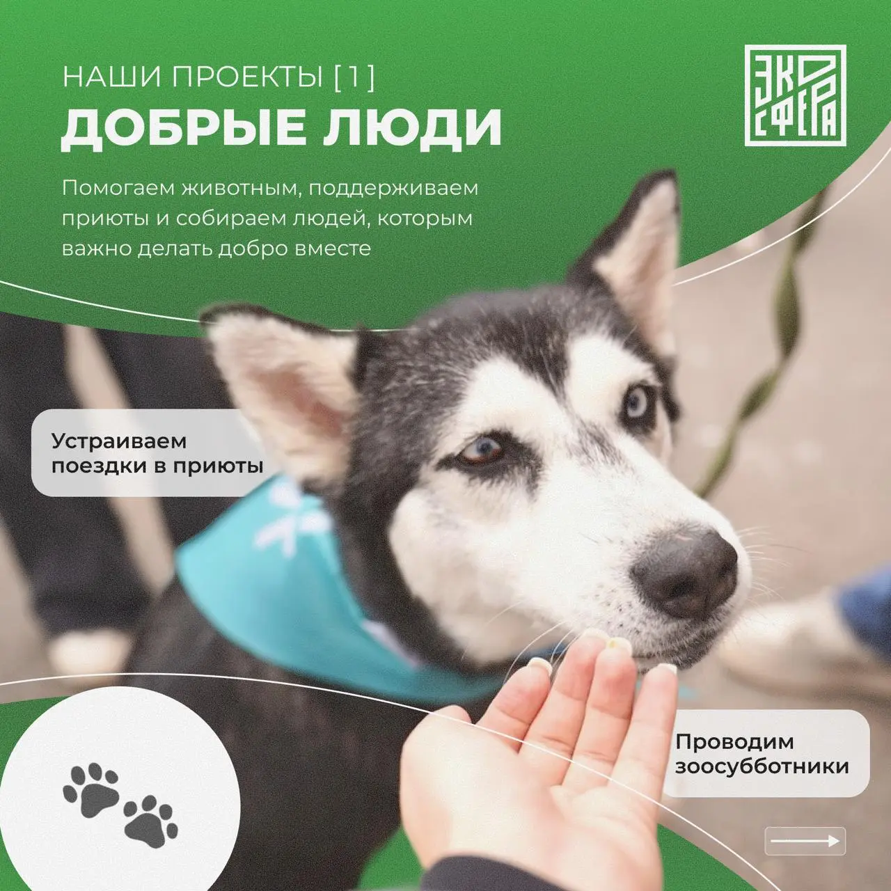 Кто мы? Кого приглашаем в команду? И чем занимаемся? Рассказываем в карточках 🌱
Чтобы присоединиться в нашу команду, заполняйте форму в нашей группе | Сетка — социальная сеть от hh.ru