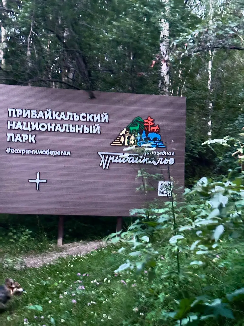Я пропала почти на два месяца.
И если честно, за это время я прожила маленькую жизнь.
За эти недели было всё.
Я окончательно ушла из старого дома, в котором жила.
Столкнулась с абьюзом | Сетка — социальная сеть от hh.ru