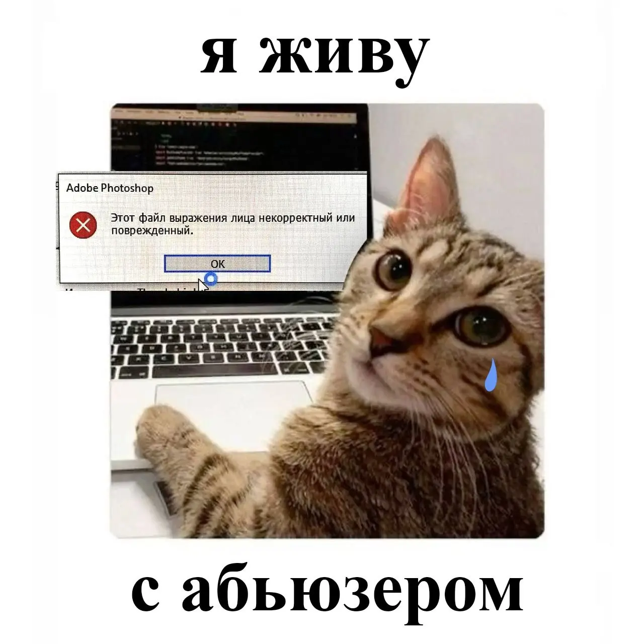 Спасибо, фотошоп, за поддержку 🥲 | Сетка — социальная сеть от hh.ru