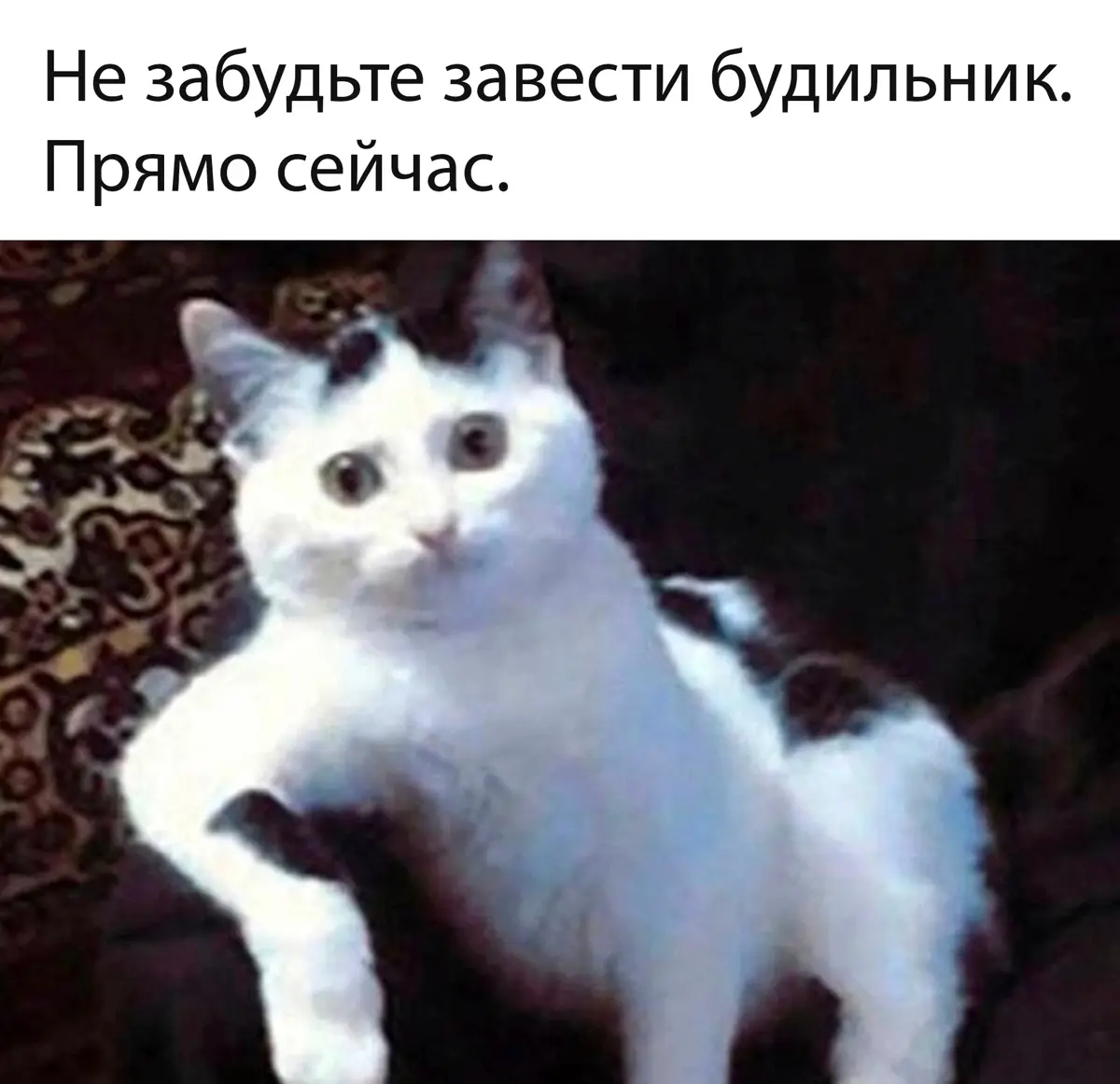 #работа #будильник | Сетка — социальная сеть от hh.ru