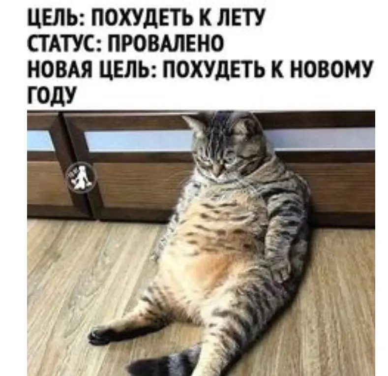 Хотите похудеть? Сейчас самое лучшее время! | Сетка — социальная сеть от hh.ru