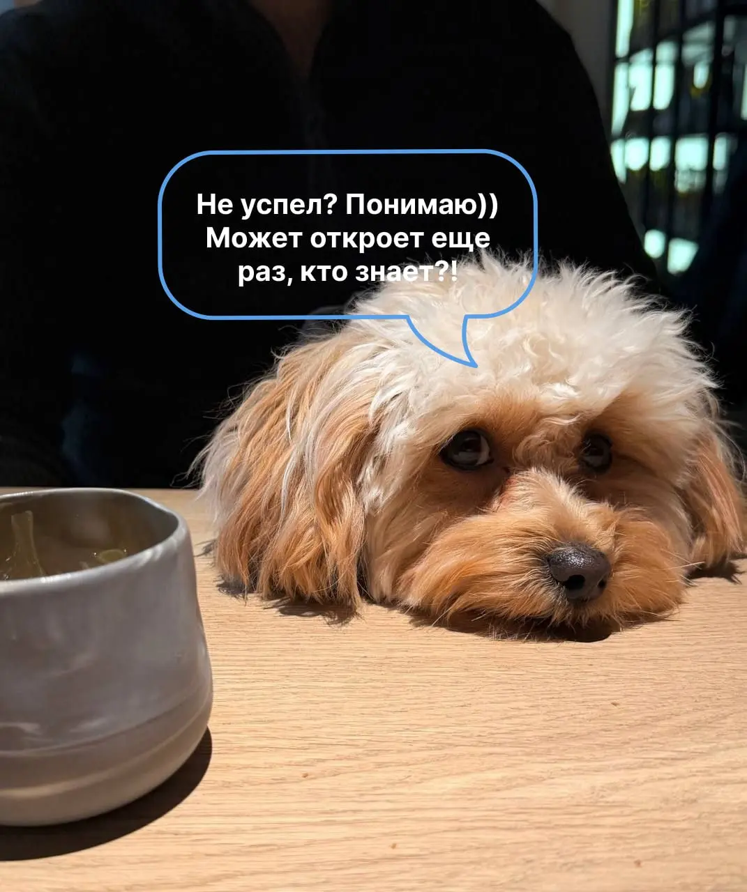 Анкета все!
Потихоньку со всеми связываемся, будьте на связи 🍵 | Сетка — социальная сеть от hh.ru