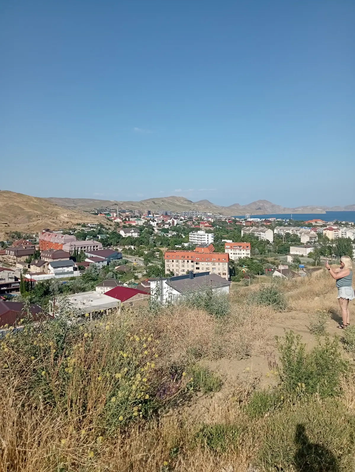Участок 8 соток вид 360 | Сетка — социальная сеть от hh.ru