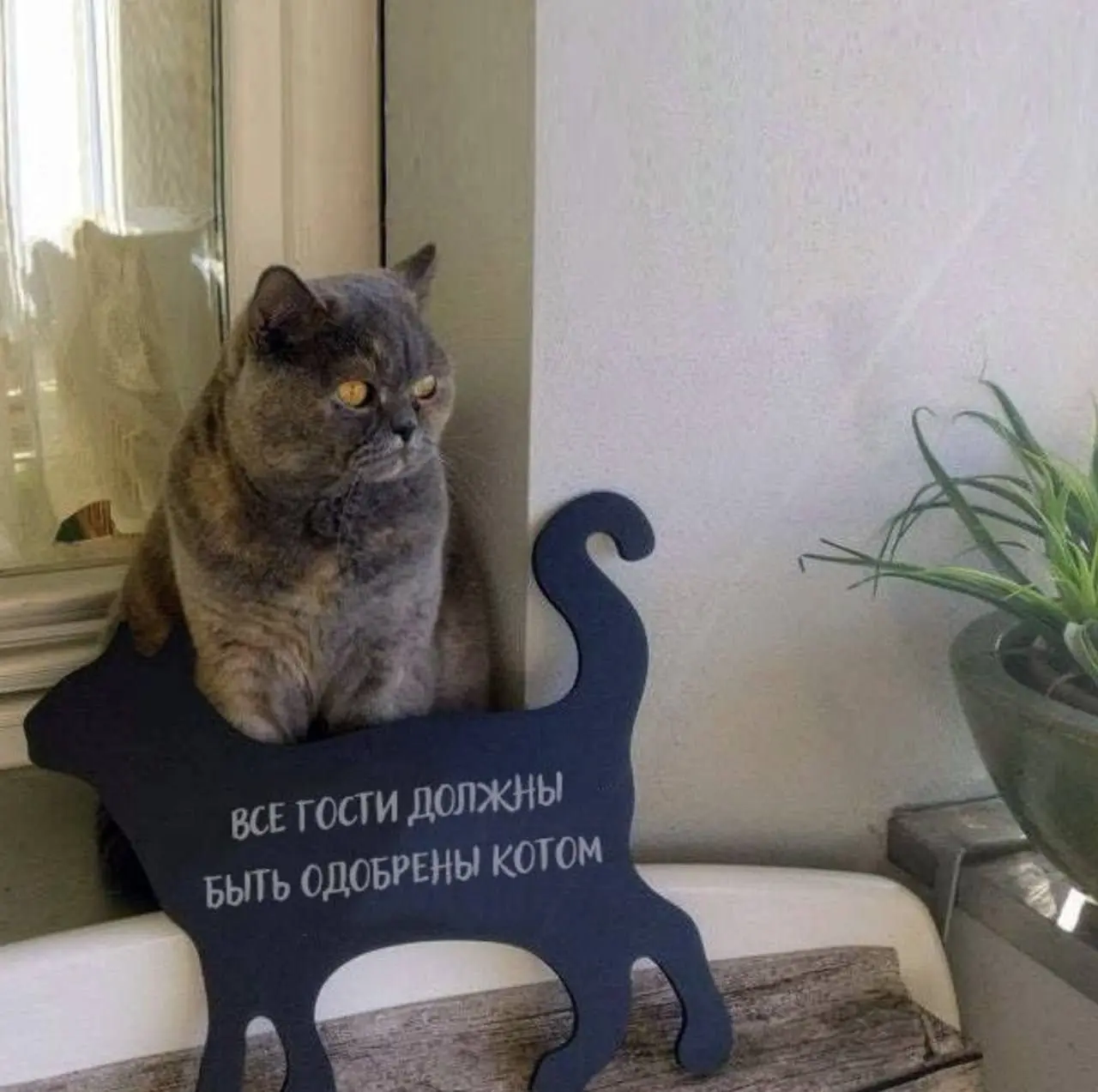 Это будет сложно 😂
БЛОГ В ТГ / БЛОГ В MAX
#Юмор #Коты
В этом посте были ссылки, но мы их удалили по правилам Сетки | Сетка — социальная сеть от hh.ru