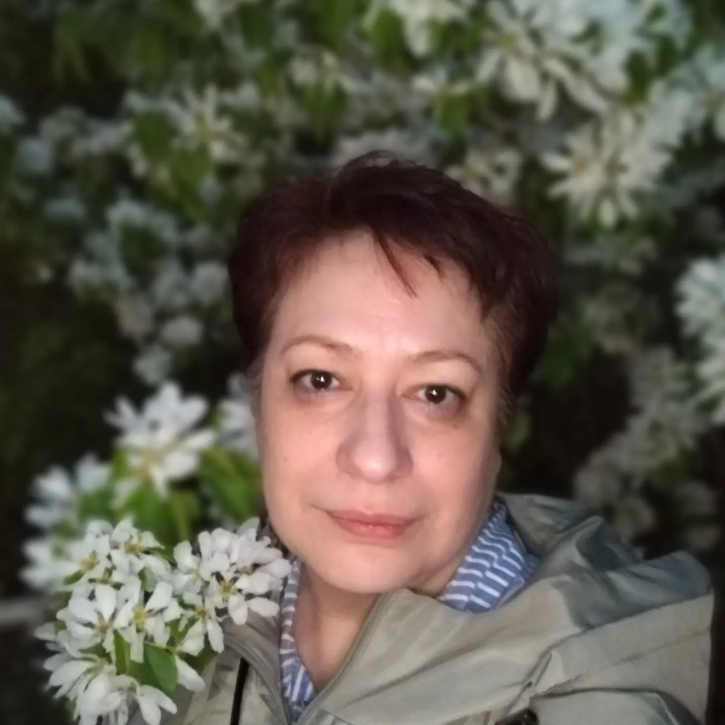 Елена Трапезникова