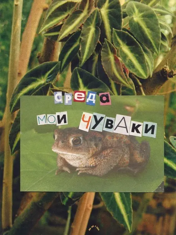 Камбек года получается (но это не точно)
Всем качественной среды, мои чюваки 🙌 | Сетка — социальная сеть от hh.ru