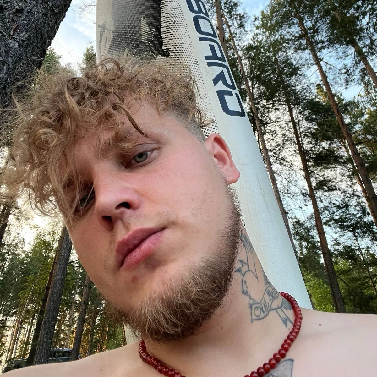 Андрей Кудрявцев