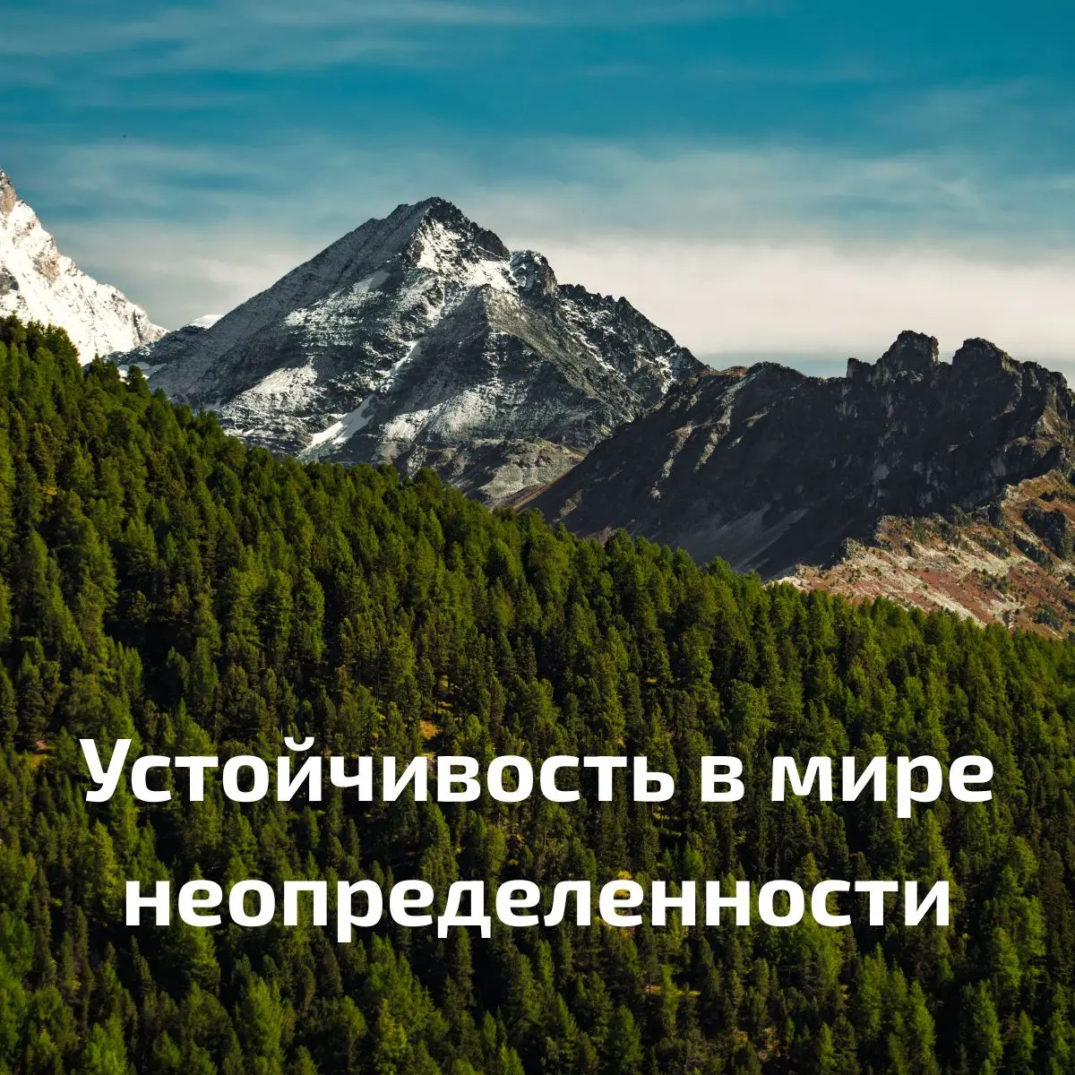 Как понять, куда развиваться дальше, если все вокруг быстро меняется?
Раньше профессиональное самоопределение казалось чем-то разовым: выучился, выбрал профессию, выстроил понятные шаги роста | Сетка — социальная сеть от hh.ru