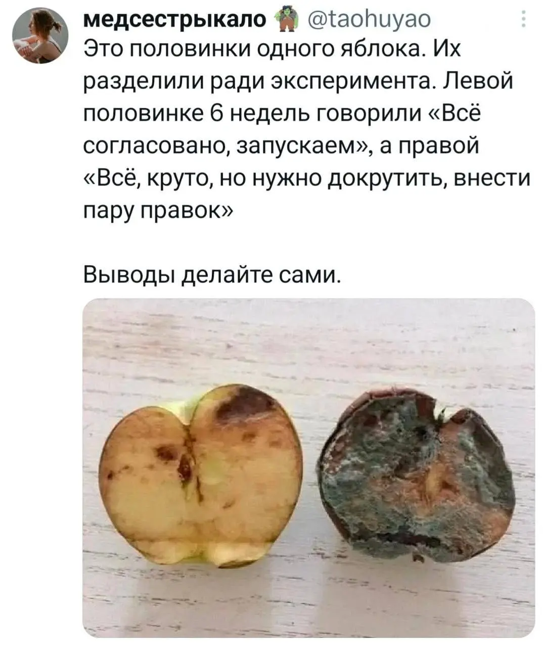 Мифы и легенды, выпуск 4 - про мотивацию | Сетка — социальная сеть от hh.ru