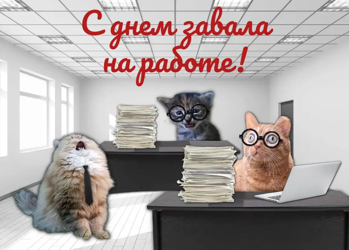 Подборка позитивных открыток про рабочие процессы. Поздравьте своего коллегу "С днём..." 🤪 | Сетка — социальная сеть от hh.ru
