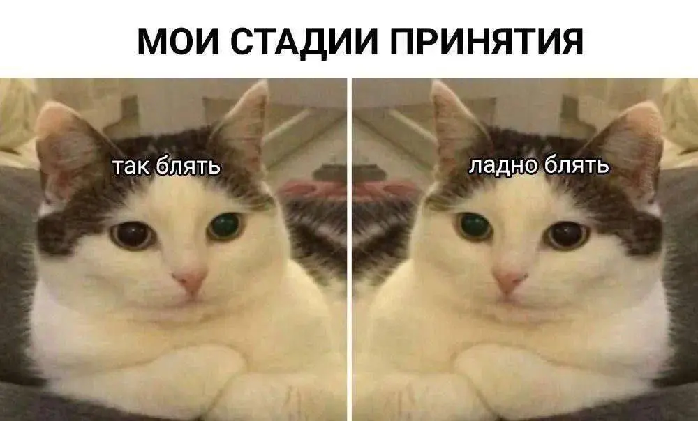 Два специалиста | Сетка — социальная сеть от hh.ru