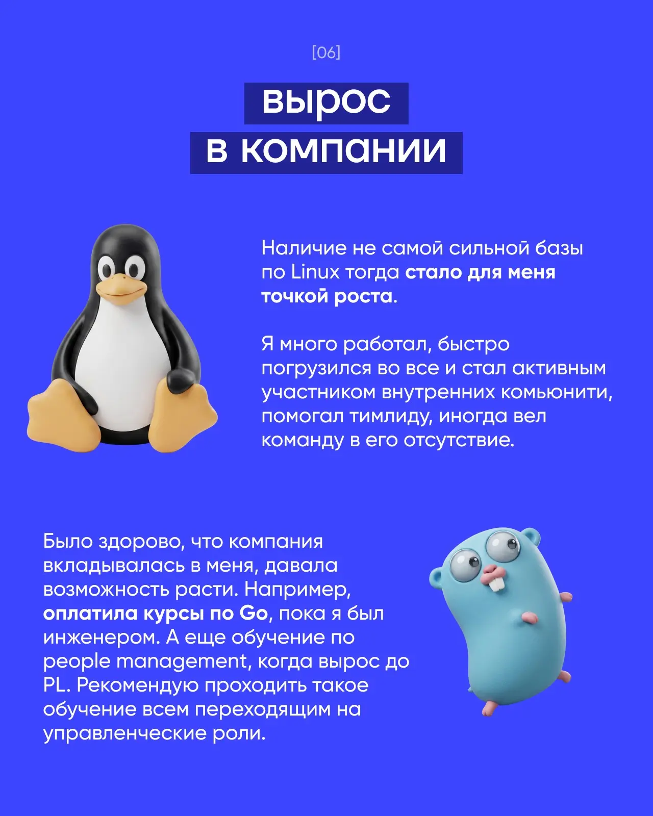 Карьерная история Игоря | Сетка — социальная сеть от hh.ru