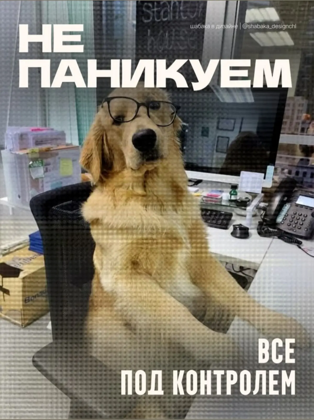 “90+ вакансий. 50% нужно закрыть ещё вчера. А я всё ещё улыбаюсь.
Потому что знаю: каждый найденный человек — это не просто цифра, а чья-то новая история, шанс, старт.
Да, это тяжело. Да, это стресс | Сетка — социальная сеть от hh.ru