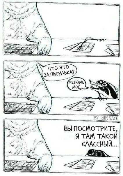🔥 Нестандартный формат собеседования: почему это нормально? | Сетка — социальная сеть от hh.ru