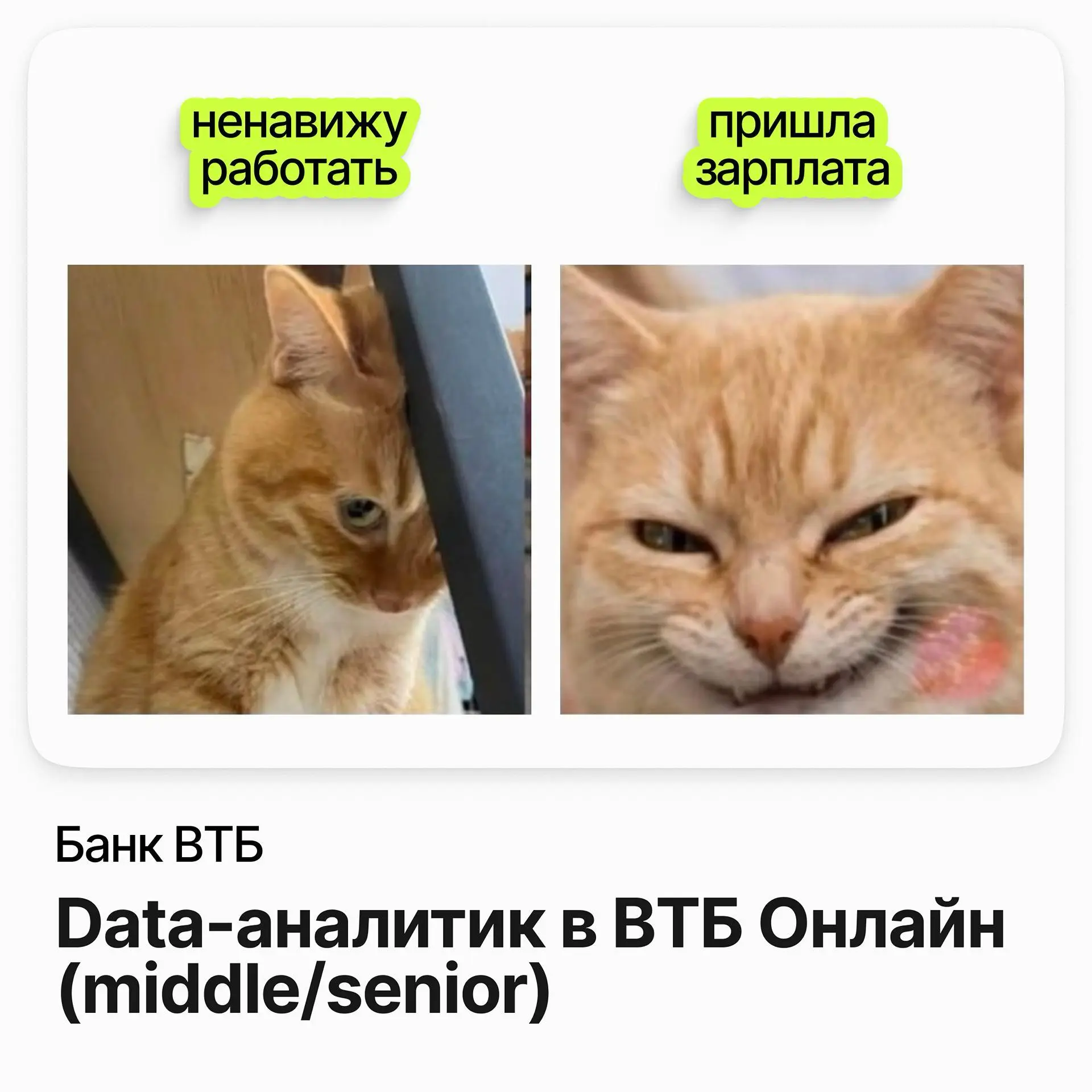 📉 Data-аналитик в ВТБ Онлайн (middle / senior) / Банк ВТБ (гибрид)
ВТБ Онлайн — цифровой банк одного из крупнейших банков страны, которым ежедневно пользуются миллионы | Сетка — социальная сеть от hh.ru