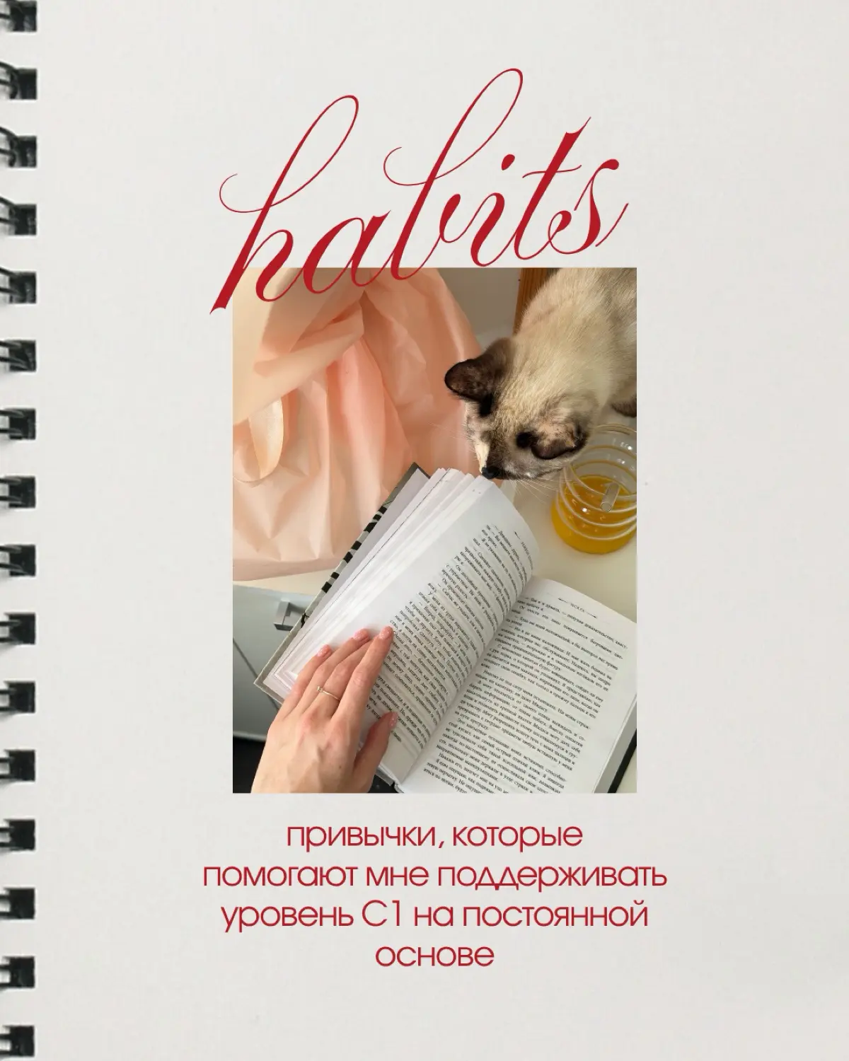 Мои привычки для поддержания C1 | Сетка — социальная сеть от hh.ru