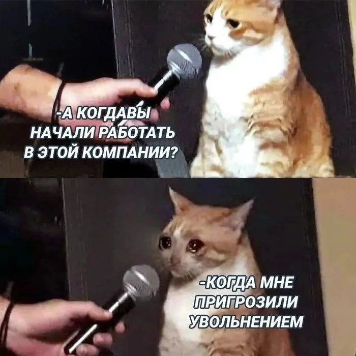 Подборка мемов про рабочие процессы. Сохраняйте, чтобы поделиться с коллегами 😜 | Сетка — социальная сеть от hh.ru