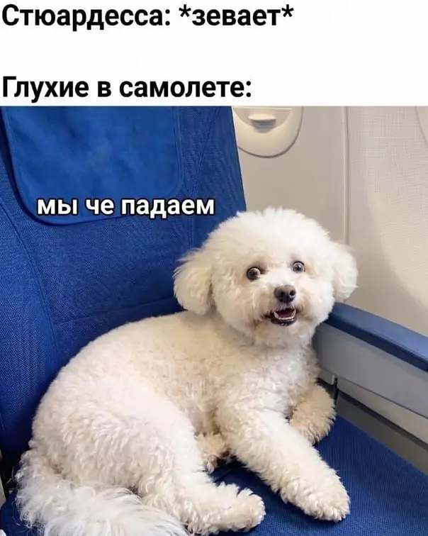 добрый вечер | Сетка — социальная сеть от hh.ru