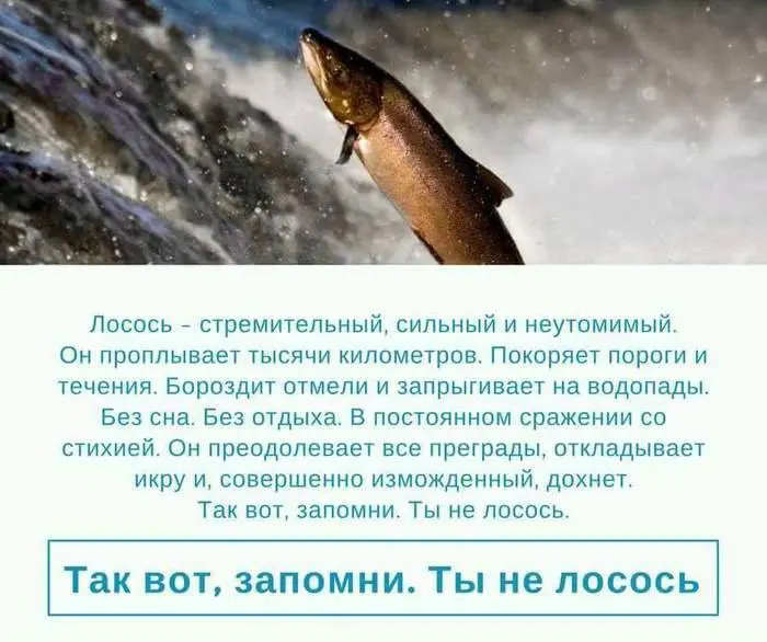 Обожаю)) | Сетка — социальная сеть от hh.ru