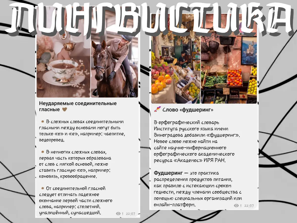 Портфолио контентщика 🗻 | Сетка — социальная сеть от hh.ru
