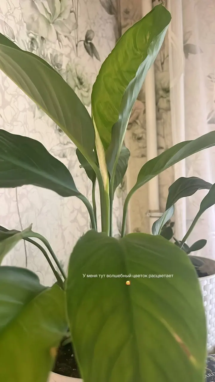 #ясегоднямолодец
💕 Встретилась утром с подружкой
💕 Забронировала столик для встречи завтра
💕 Борщ сварила и не дала себе кусочничать пока отсутствует Лиза
А у вас че как?) | Сетка — социальная сеть от hh.ru