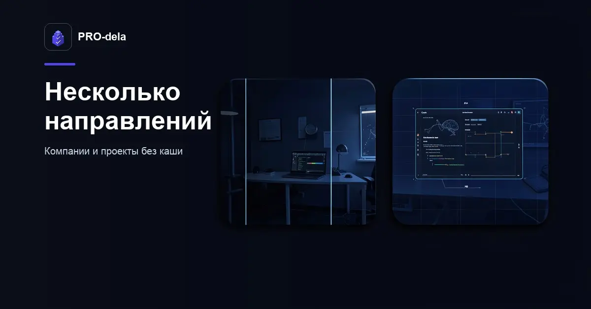 Как владельцу нескольких направлений вести их в PRO-dela | Сетка — социальная сеть от hh.ru