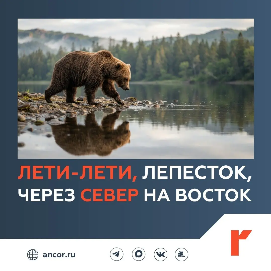 ❄️ Готовы к работе на Крайнем Севере и Дальнем Востоке?
Вне зависимости от ответа ждем вас, ваших коллег, друзей и знакомых в числе респондентов исследования | Сетка — социальная сеть от hh.ru