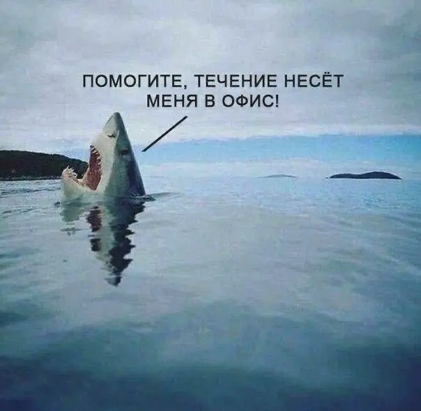 Подборка мемов про рабочие процессы. Сохраняйте, чтобы поделиться с коллегами 😜 | Сетка — социальная сеть от hh.ru