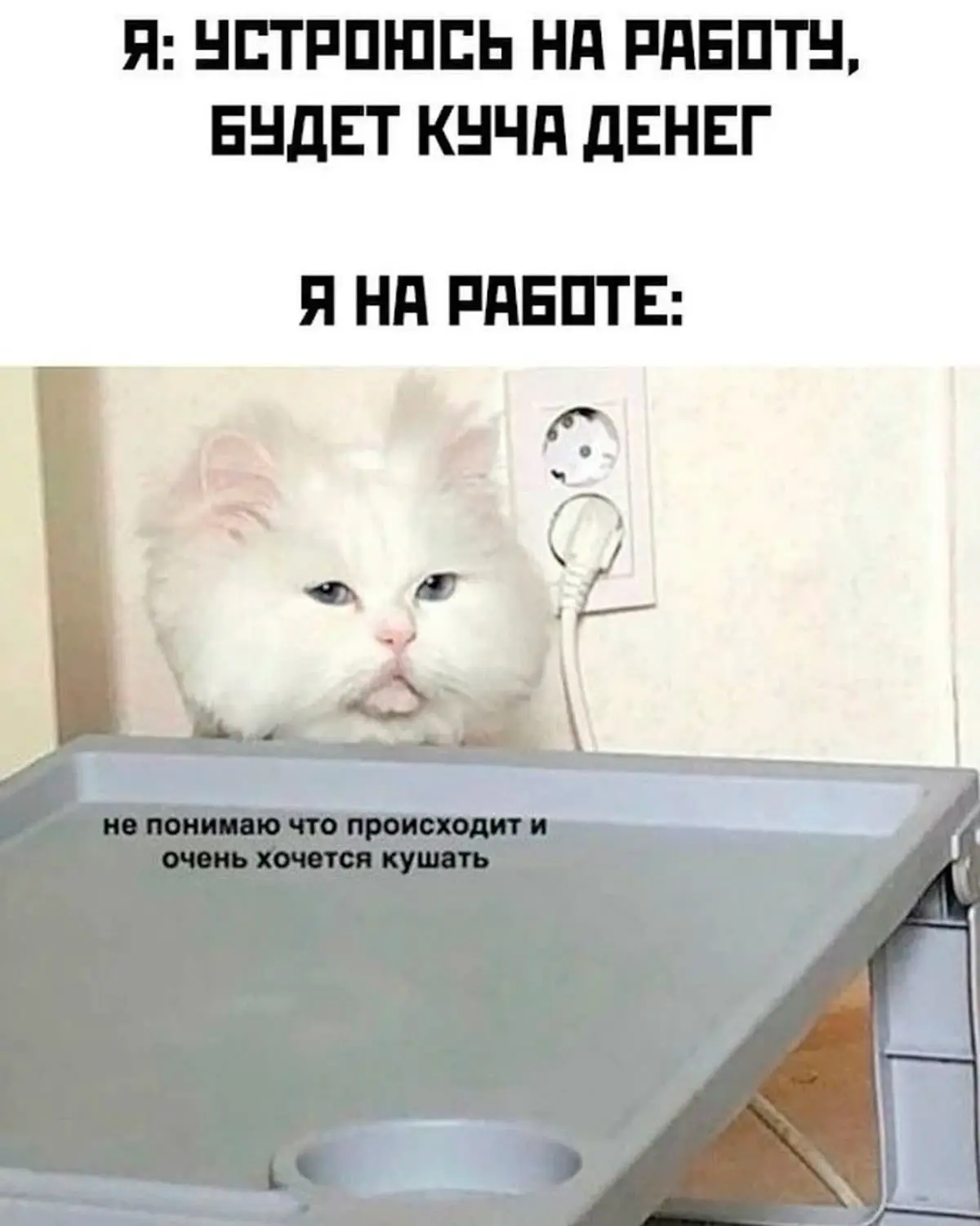 Подборка мемов про рабочие процессы. Сохраняйте, чтобы поделиться с коллегами 😜 | Сетка — социальная сеть от hh.ru