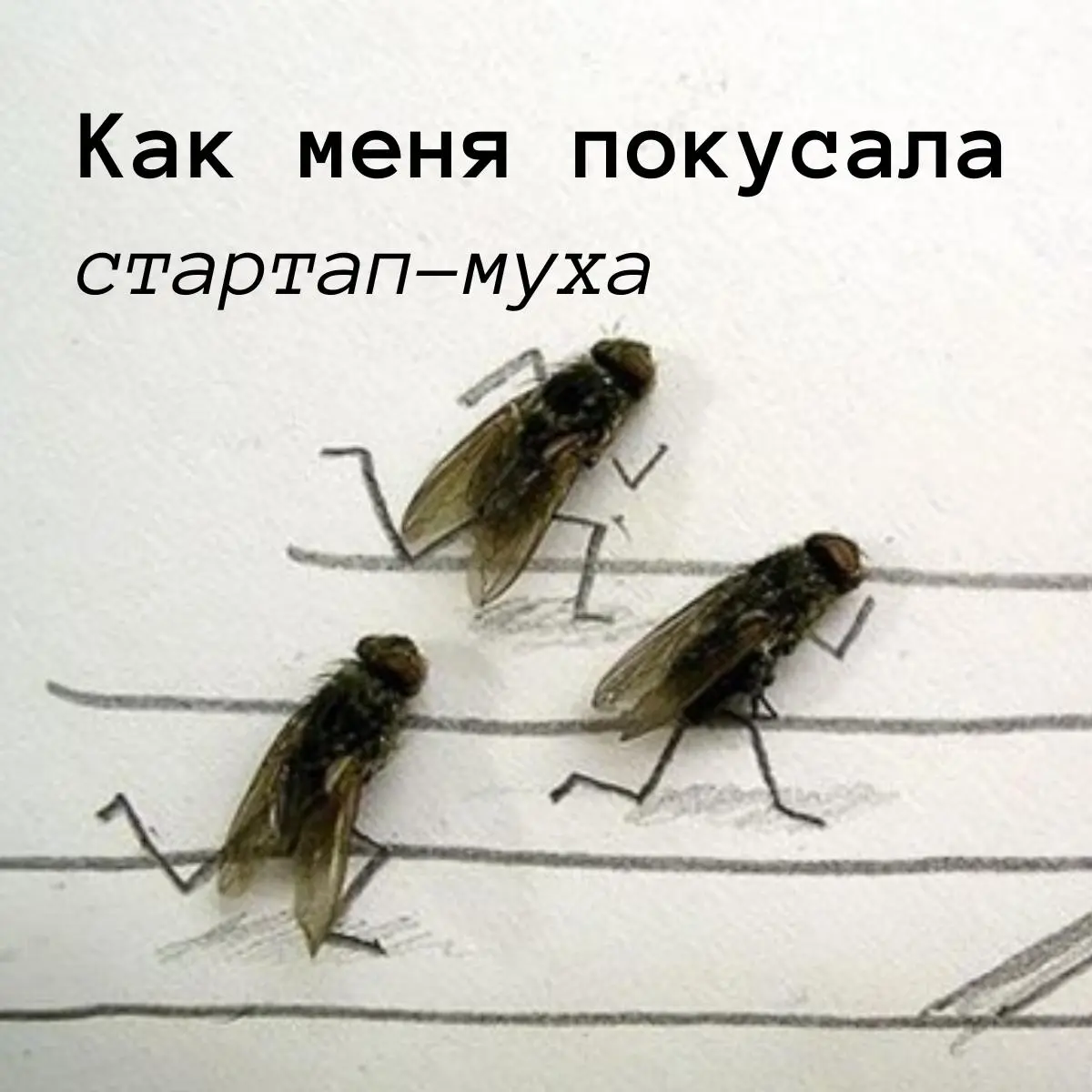 Сижу я как-то, читаю Хабр и вижу — Яндекс и ещё какой-то фонд (как потом оказалось, один из самых известных в России — Фонд развития интернет-инициатив, ФРИИ) набирают людей в «акселератор» | Сетка — социальная сеть от hh.ru
