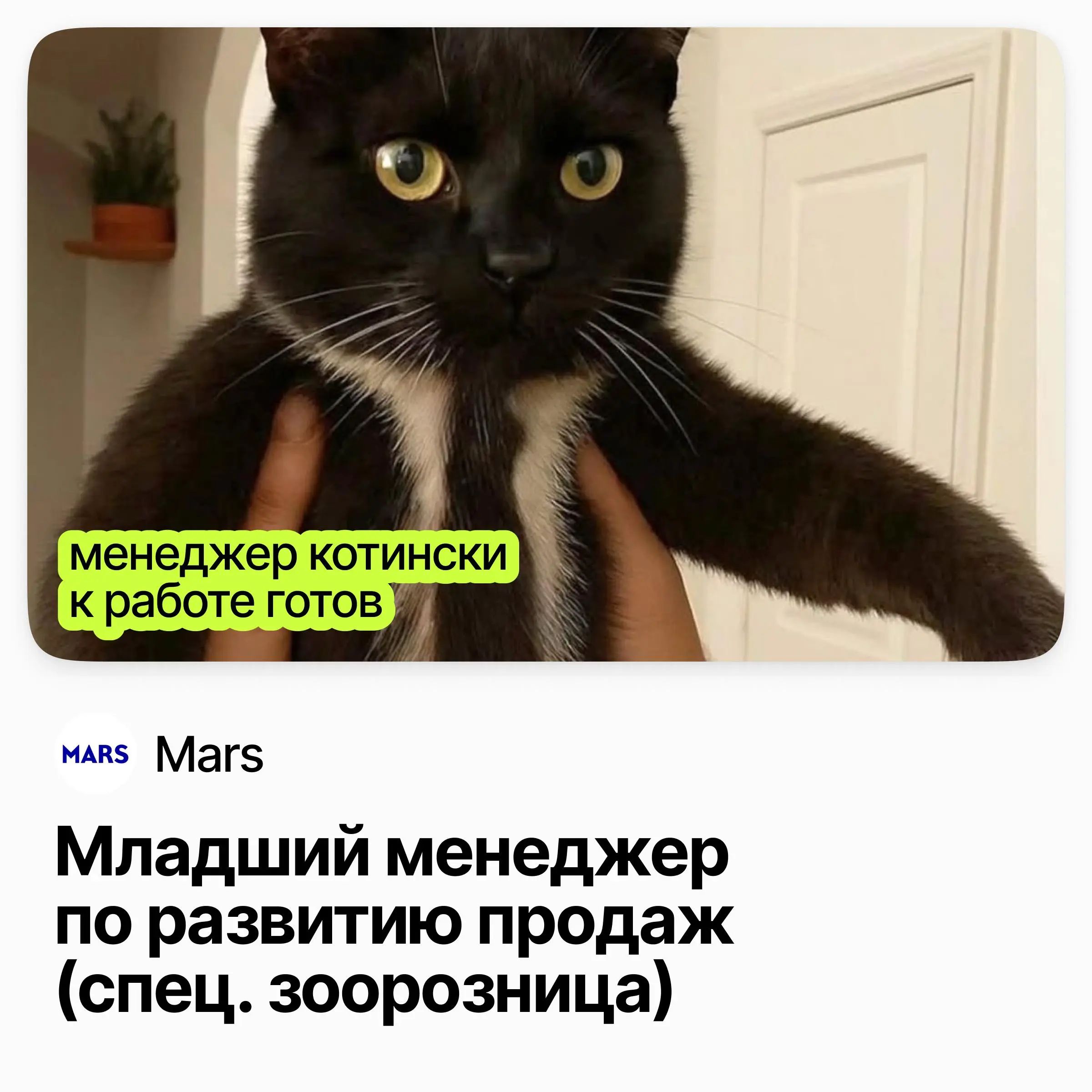 🐾 Младший менеджер по развитию продаж / Mars
Mars — семейная FMCG-компания с всемирно известными брендами.
Ищут младшего менеджера по развитию продаж в канал специализированной зоорозницы | Сетка — социальная сеть от hh.ru