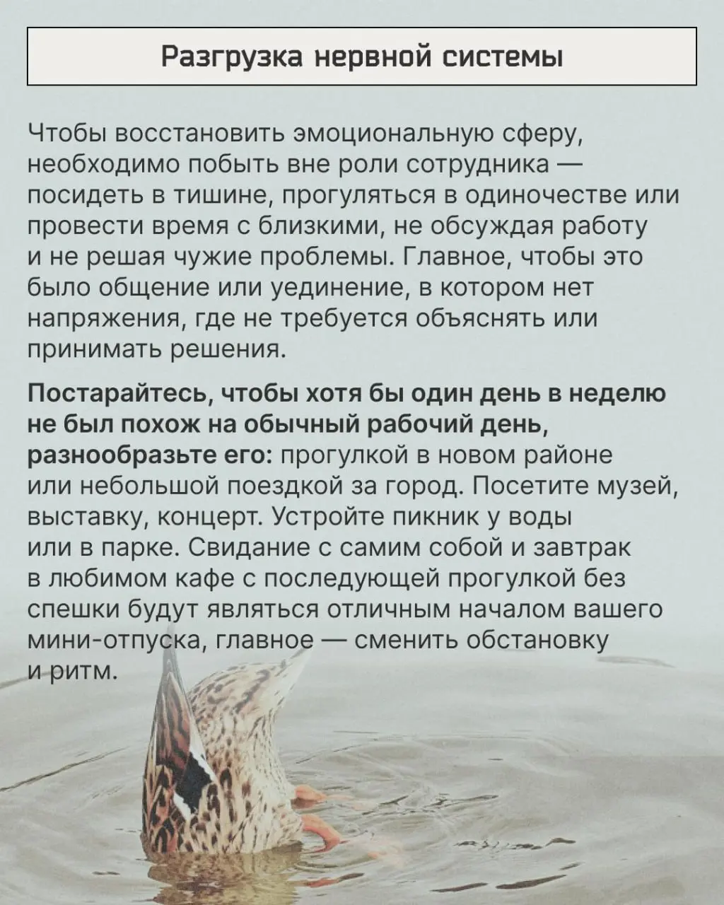 Всем трудоголикам, пропускающим очередной отпуск, посвящается. Рассказываю, как правильно отдыхать, не отвлекаясь от производства | Сетка — социальная сеть от hh.ru