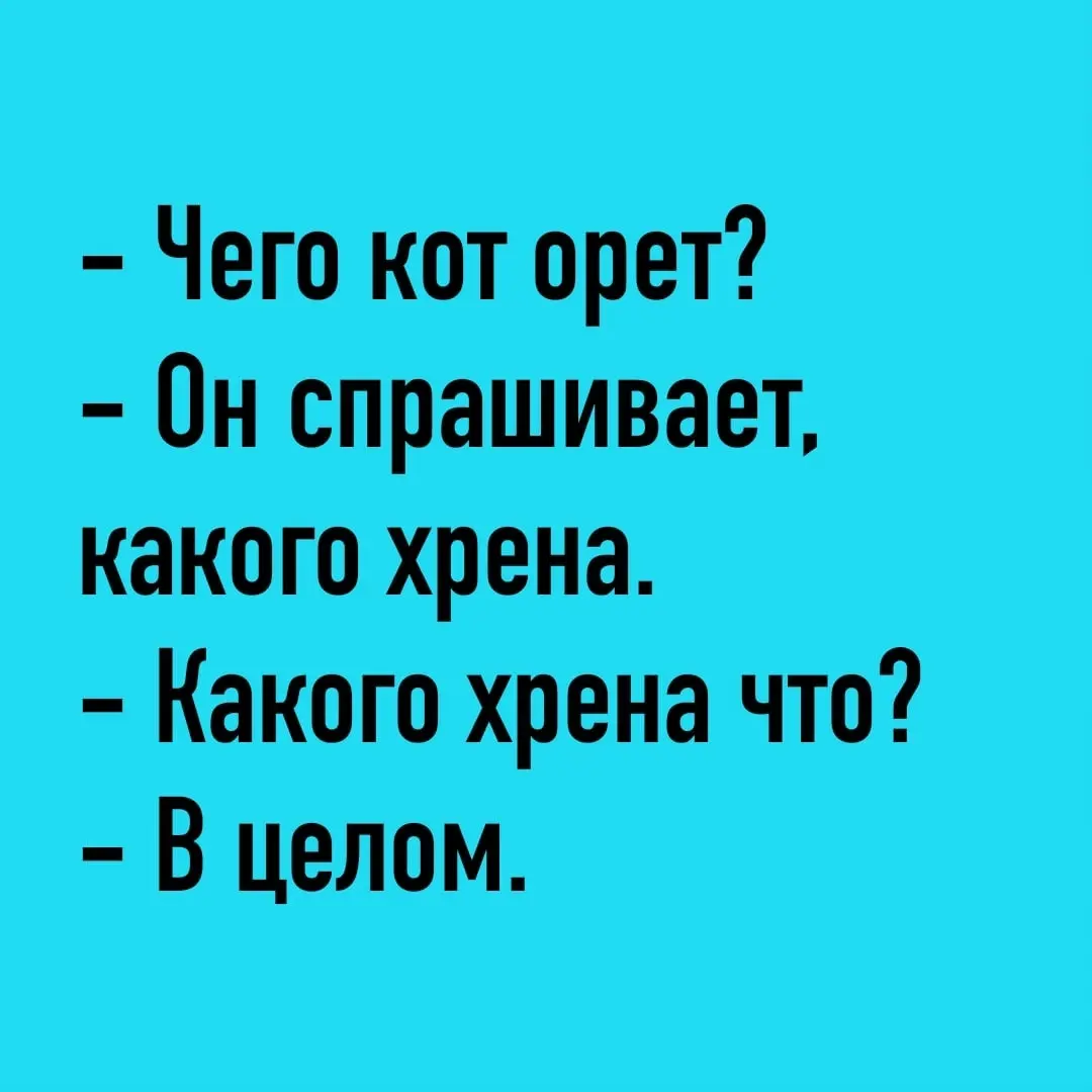 В целом что? У вас? | Сетка — социальная сеть от hh.ru